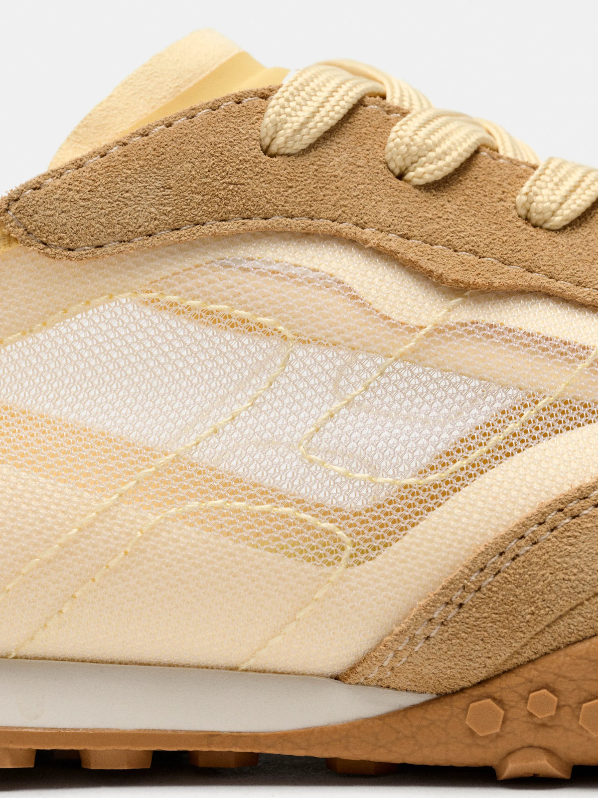 Bridge Mesh Camel